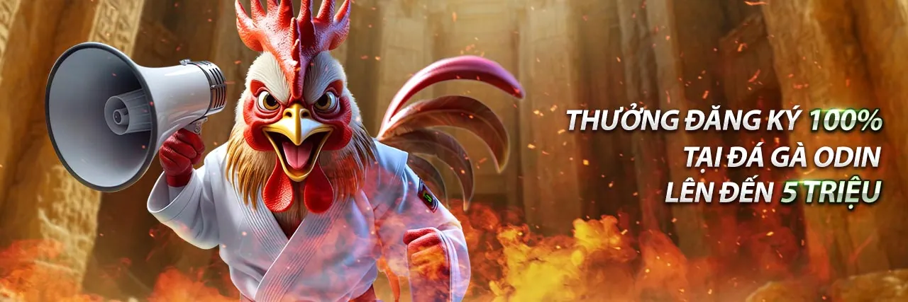 Hình ảnh công nghệ phát trực tiếp bóng đá với chất lượng cao